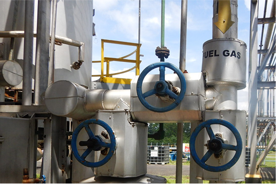 WhatsApp Image 2025-02-20 at 12.04.03_0589b9ec